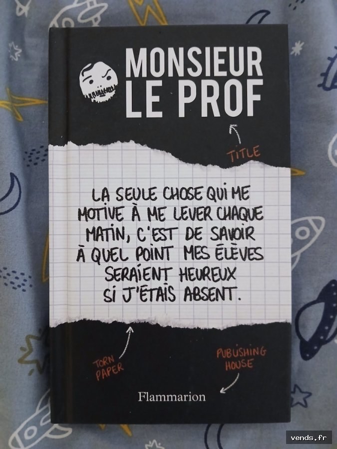Livre Monsieur Le Prof - Flammarion - Humour Enseignant