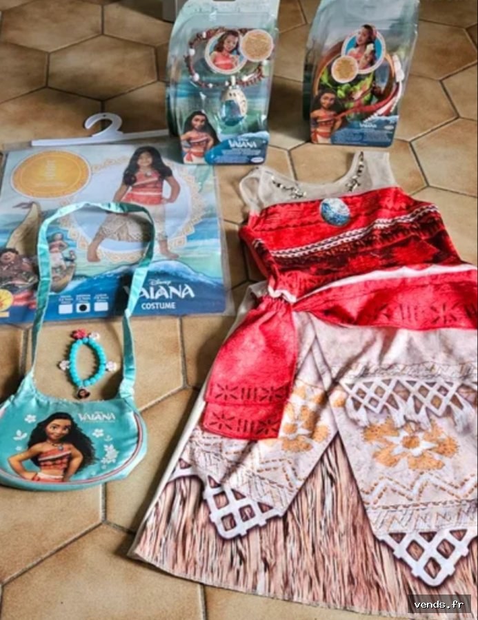 Lot déguisement Vaiana Disney
