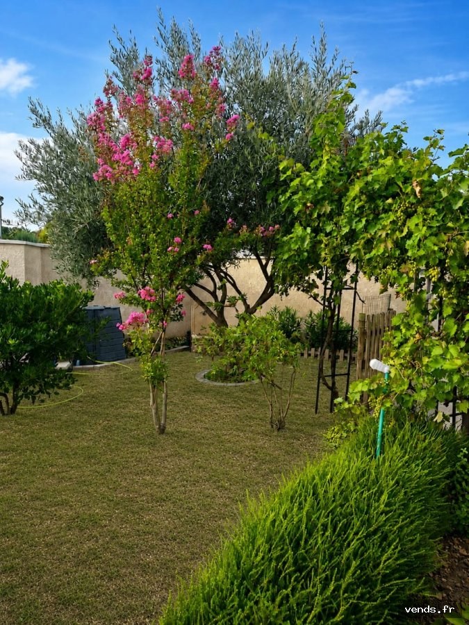 Maison individuelle avec son terrain arboré